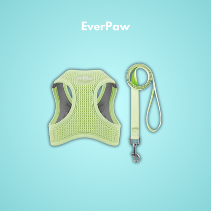 EverPaw: Mach eure Spaziergänge zu einem Highlight