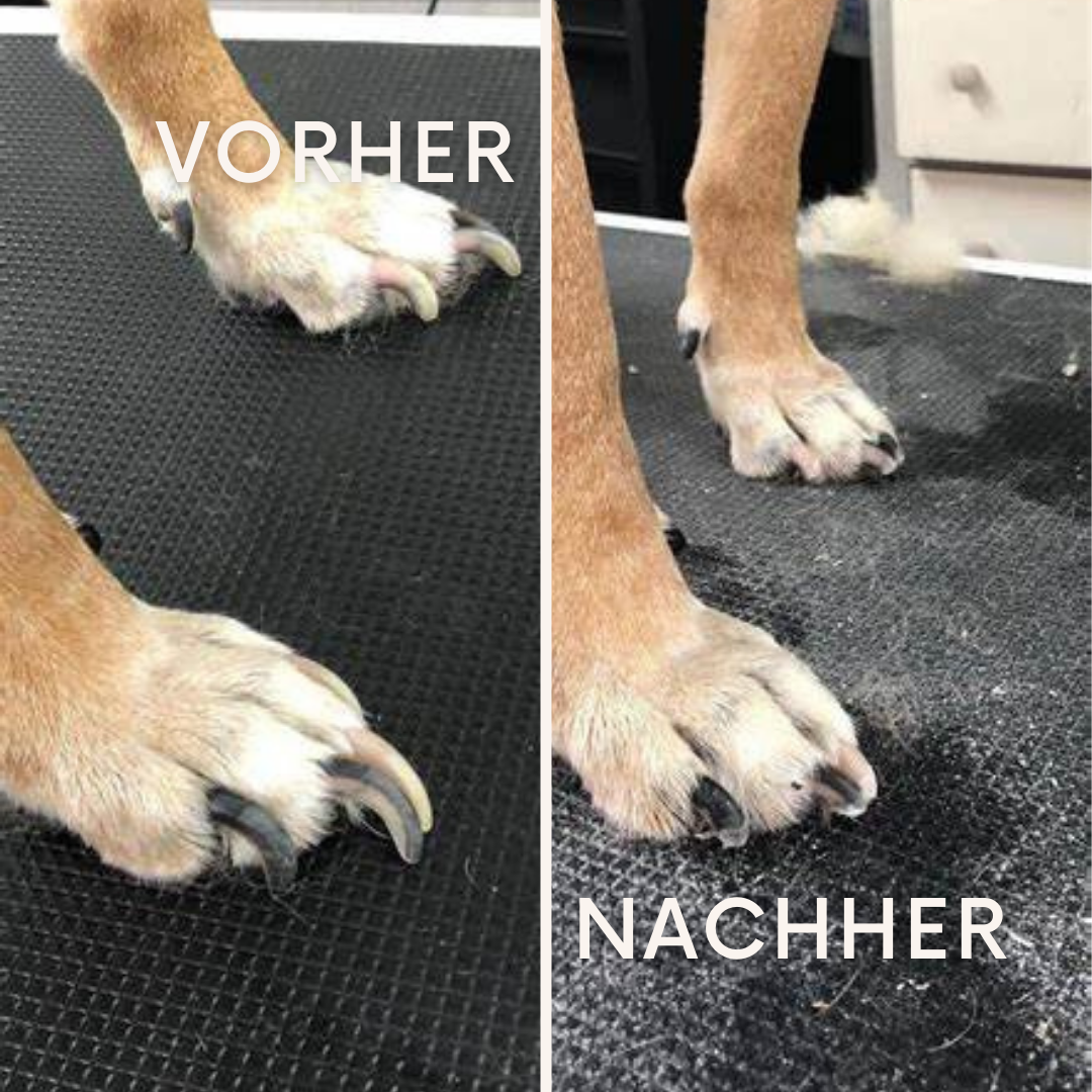 ClawEase: Perfekte Krallen ohne Drama