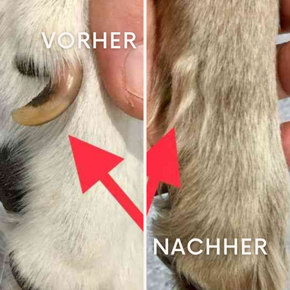 ClawEase: Perfekte Krallen ohne Drama