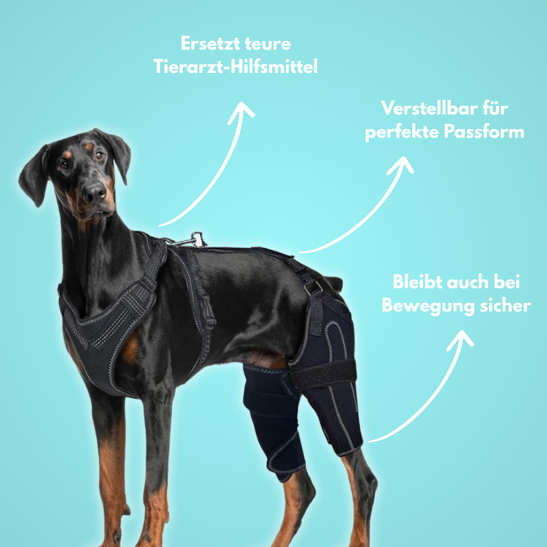 PawHeal Pro: Die Schiene, die Schmerzen lindert.