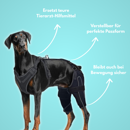 PawHeal Pro: Die Schiene, die Schmerzen lindert.