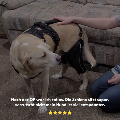 PawHeal Pro: Die Schiene, die Schmerzen lindert.