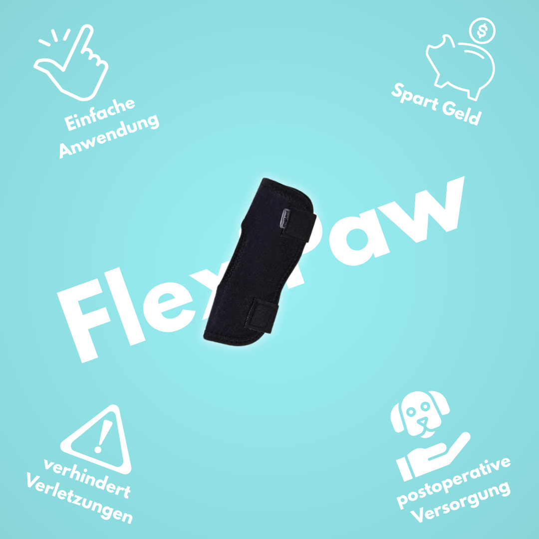 FlexiPaw: Die Gelenkbandage für dein Vierbeiner