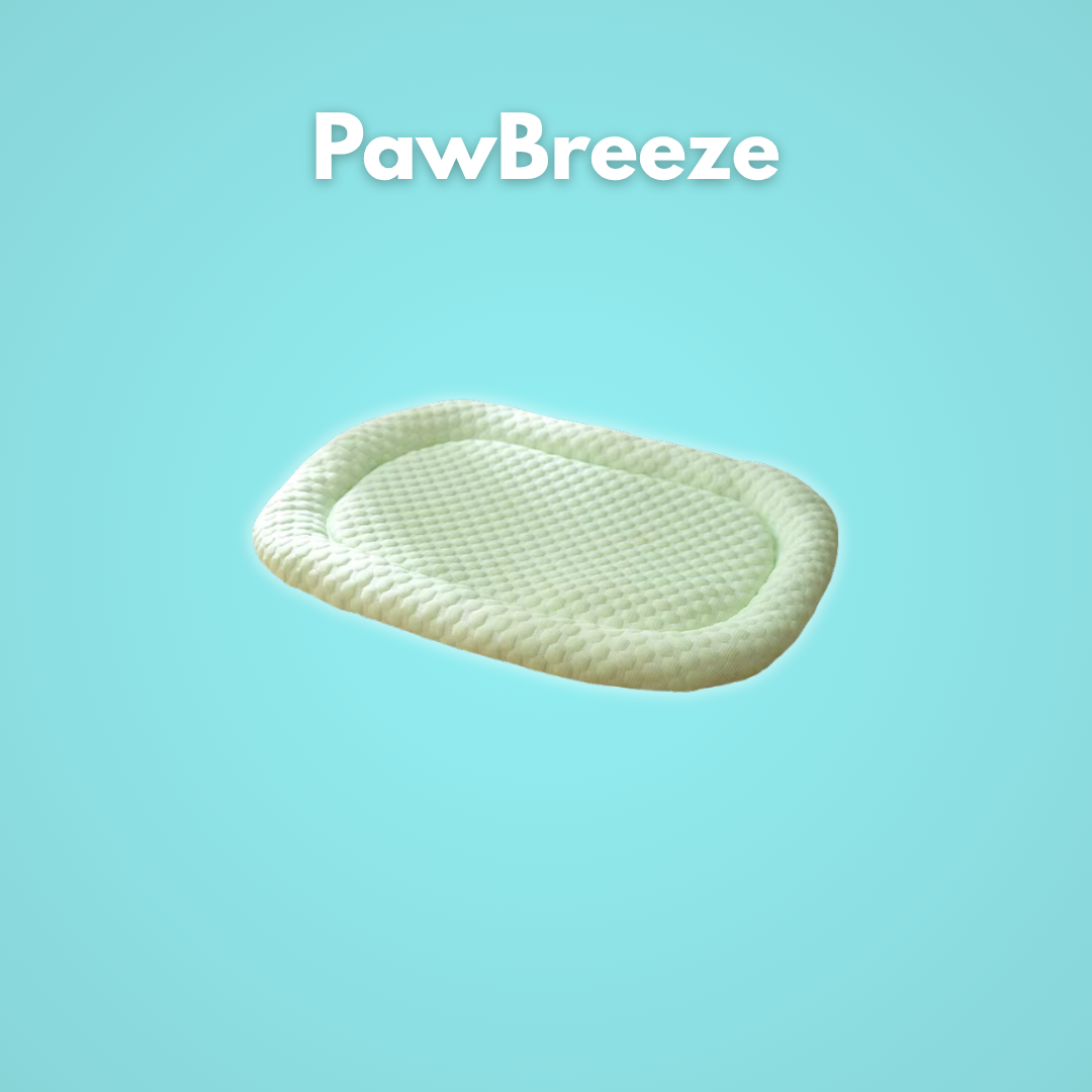 PawBreeze: Die Sommer Oase für dein Fellnase