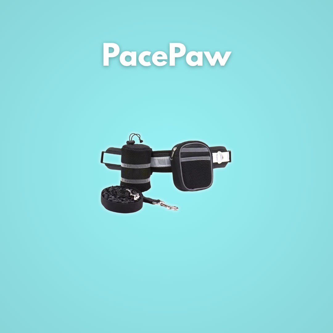PacePaw: Die freihändige Hundeleine.