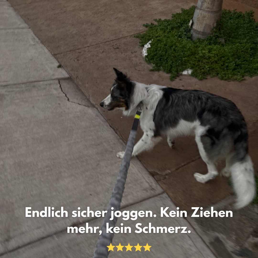 PacePaw: Die freihändige Hundeleine.