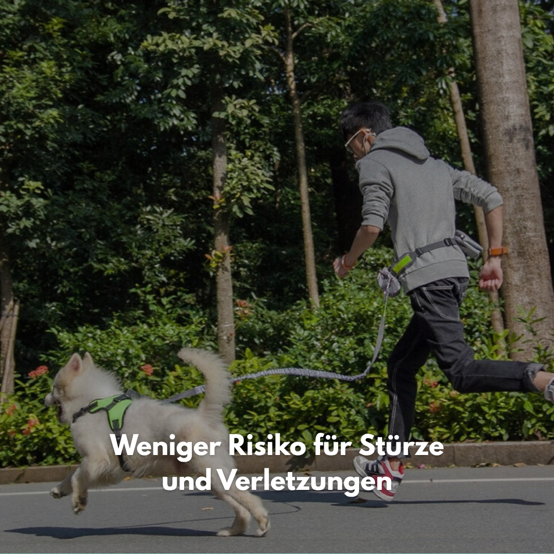 PacePaw: Die freihändige Hundeleine.