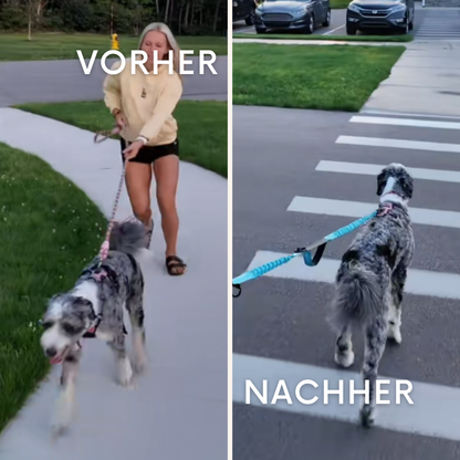 PacePaw: Die freihändige Hundeleine.