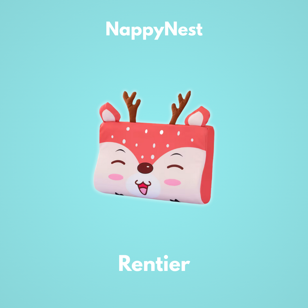 NappyNest: Das dein Kind durch die Nacht trägt.