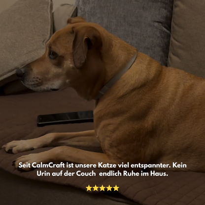 CalmCraft: Beruhigendes Hundehalsband