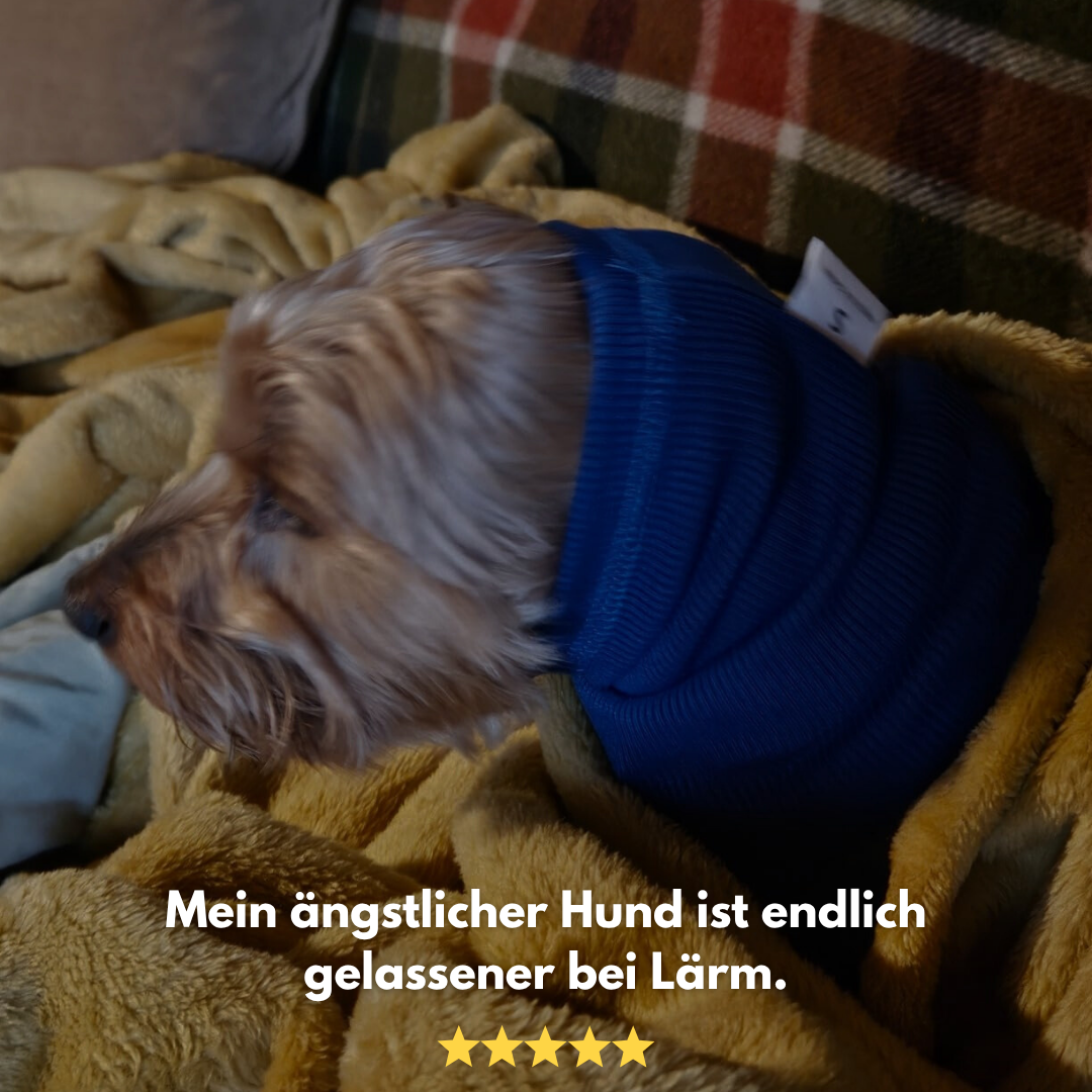 CalmEars: Die Kapuze, die Geräuschangst in Sicherheit verwandelt