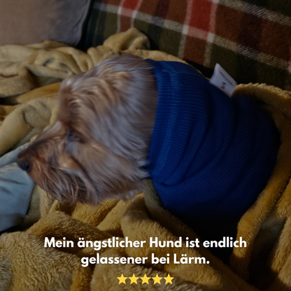 CalmEars: Die Kapuze, die Geräuschangst in Sicherheit verwandelt