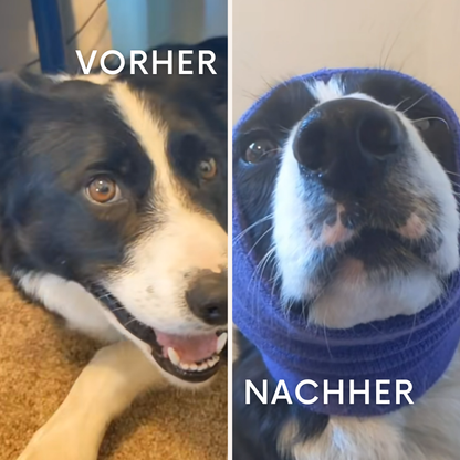 CalmEars: Die Kapuze, die Geräuschangst in Sicherheit verwandelt