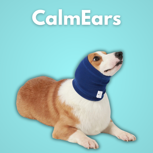 CalmEars: Die Kapuze, die Geräuschangst in Sicherheit verwandelt