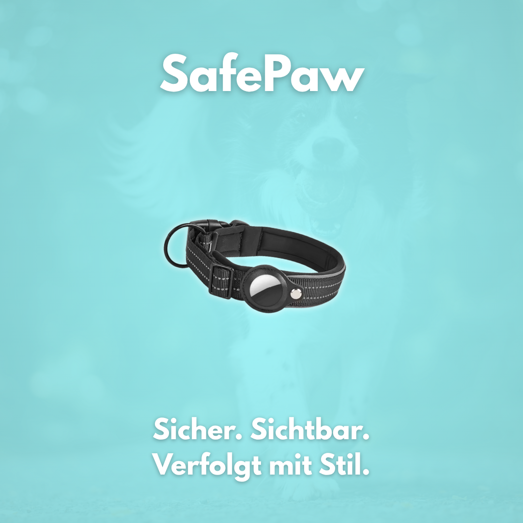 SafePaw: Mehr als ein Halsband