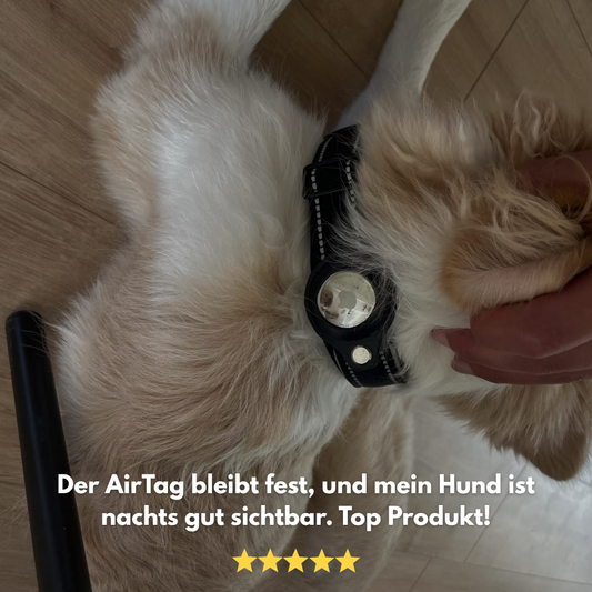 SafePaw: Mehr als ein Halsband
