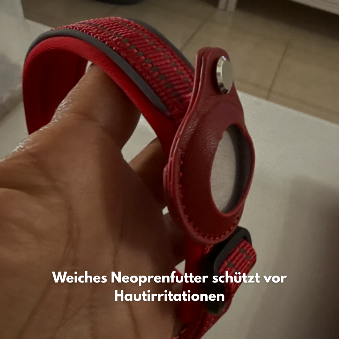 SafePaw: Mehr als ein Halsband