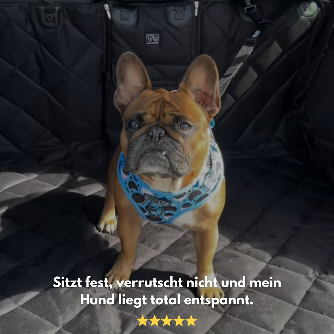 FurGuard: Hundeschutz fürs Auto