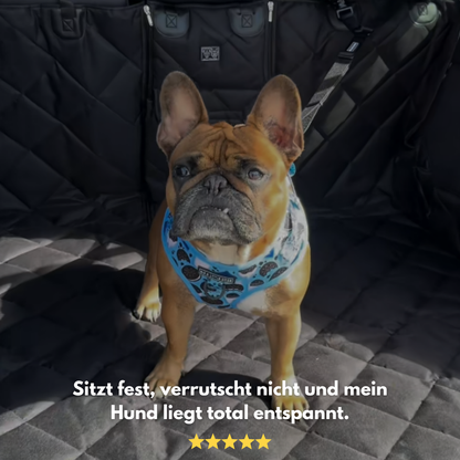 FurGuard: Hundeschutz fürs Auto