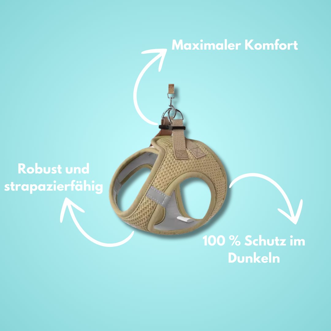 EverPaw: Mach eure Spaziergänge zu einem Highlight