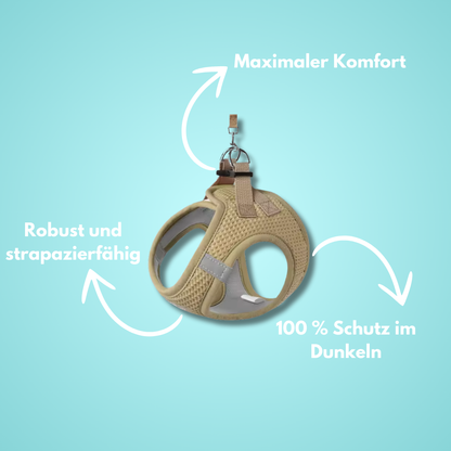 EverPaw: Mach eure Spaziergänge zu einem Highlight