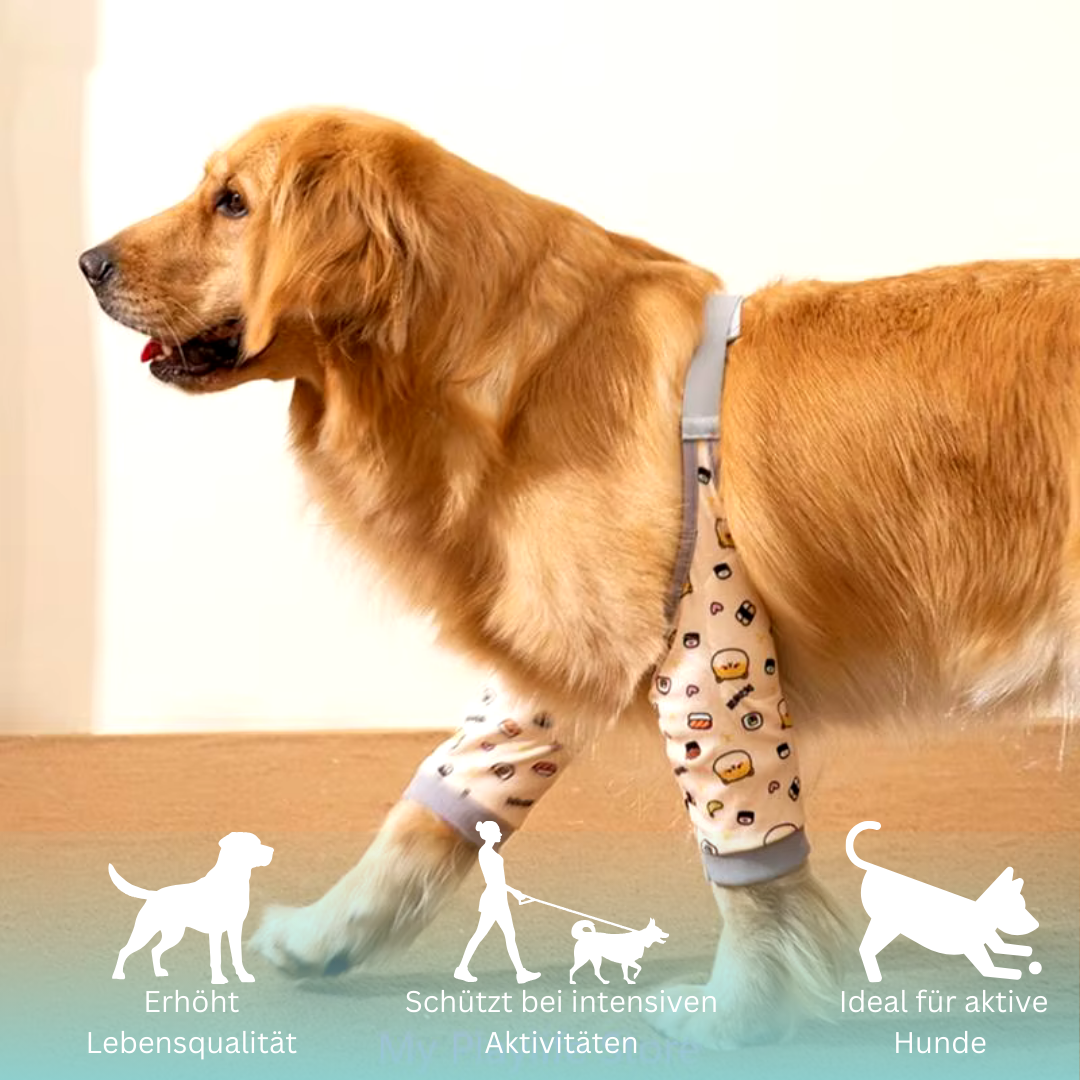 PawFlex