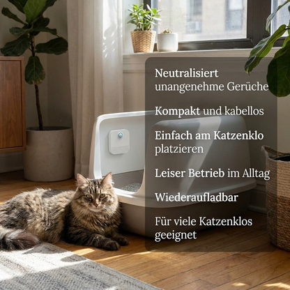 PurrAir – Katzenluft bleibt frisch
