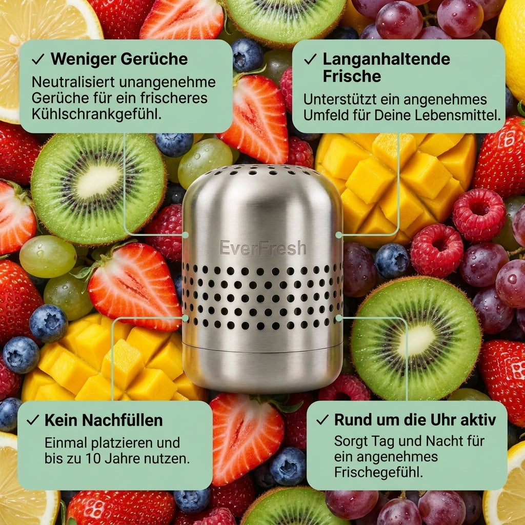 EverFresh - Ein sauberes Zuhause für Lebensmittel