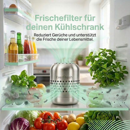 EverFresh - Ein sauberes Zuhause für Lebensmittel