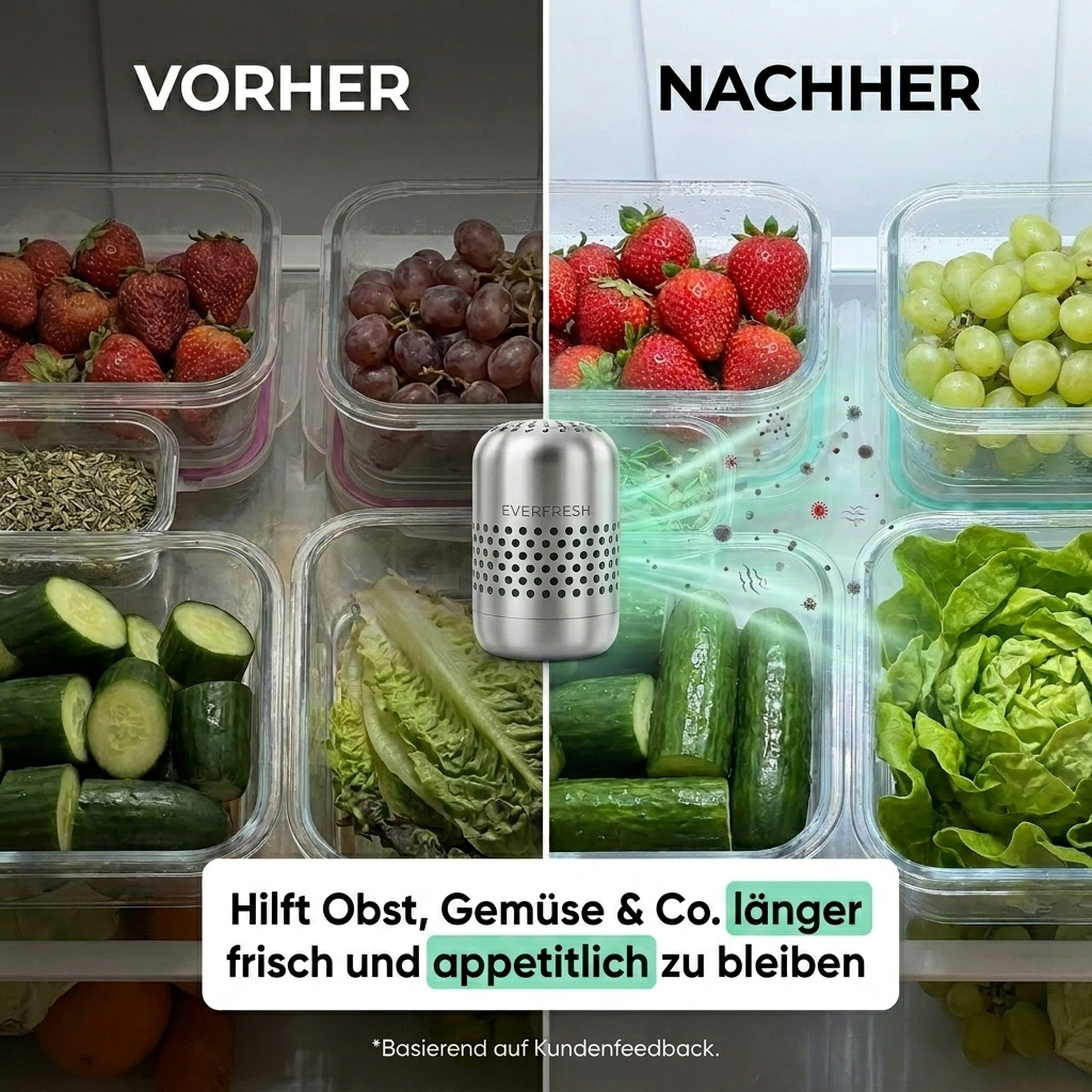 EverFresh - Ein sauberes Zuhause für Lebensmittel