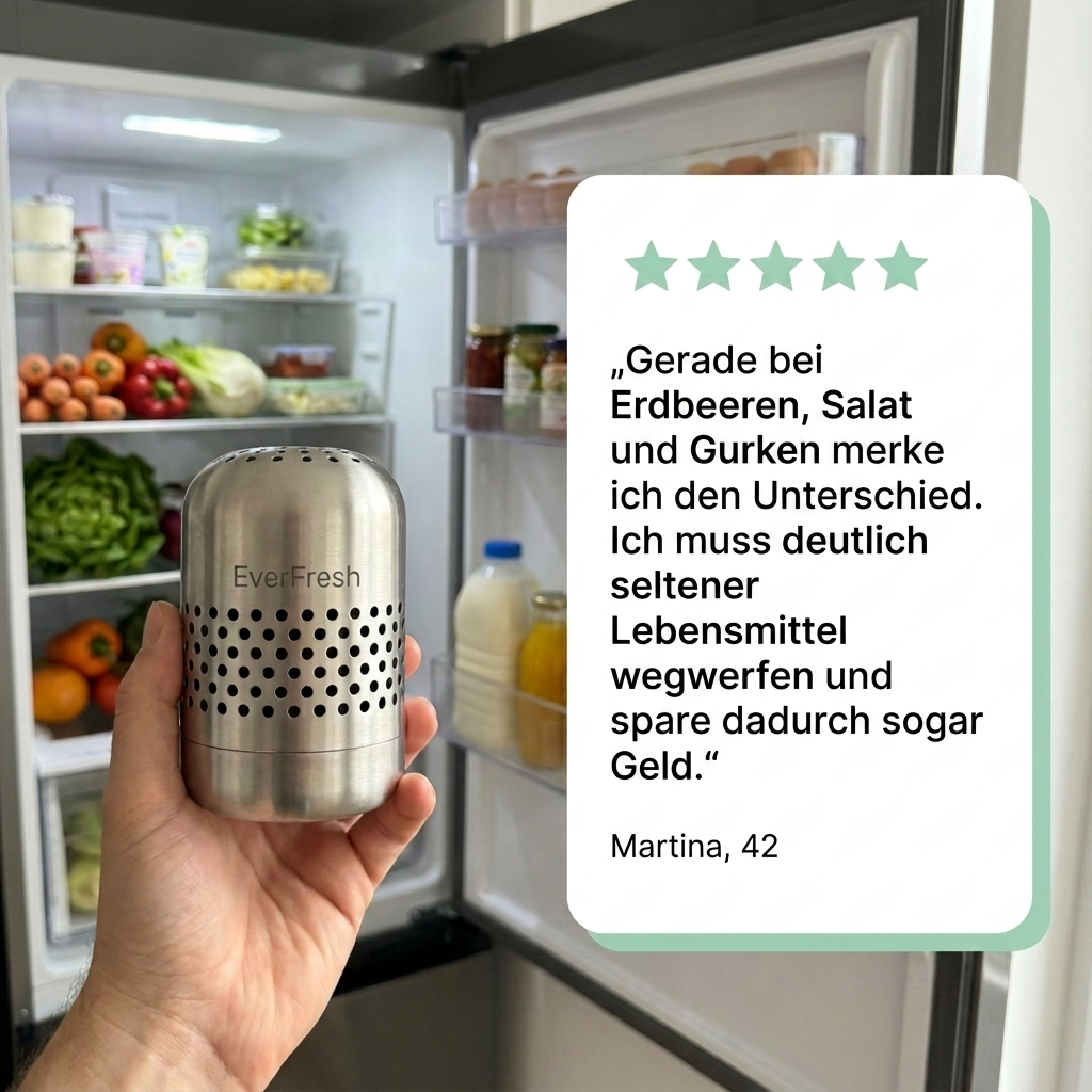 EverFresh - Ein sauberes Zuhause für Lebensmittel